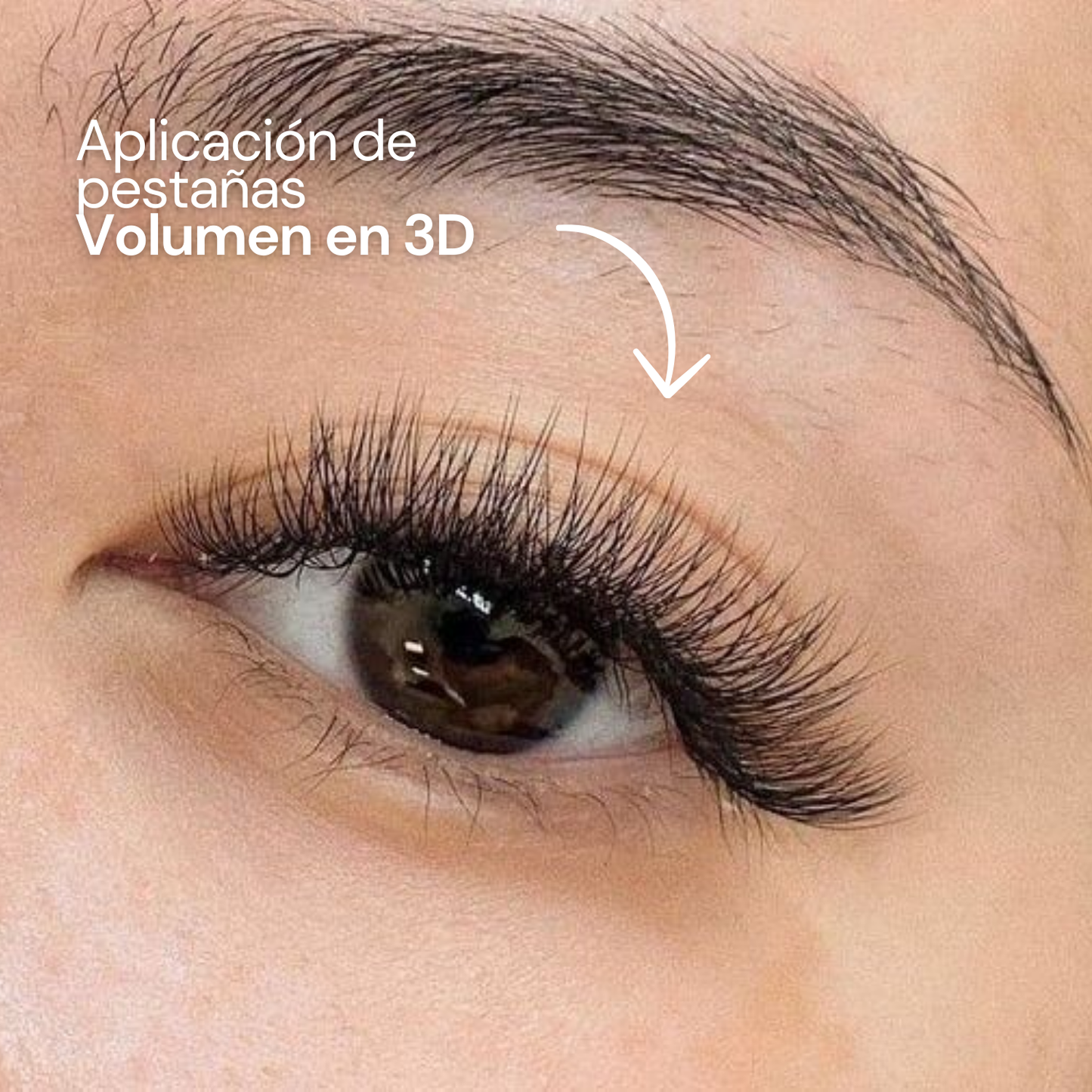 EFECTO10 PRE-MADE VOLUME FAN 3D