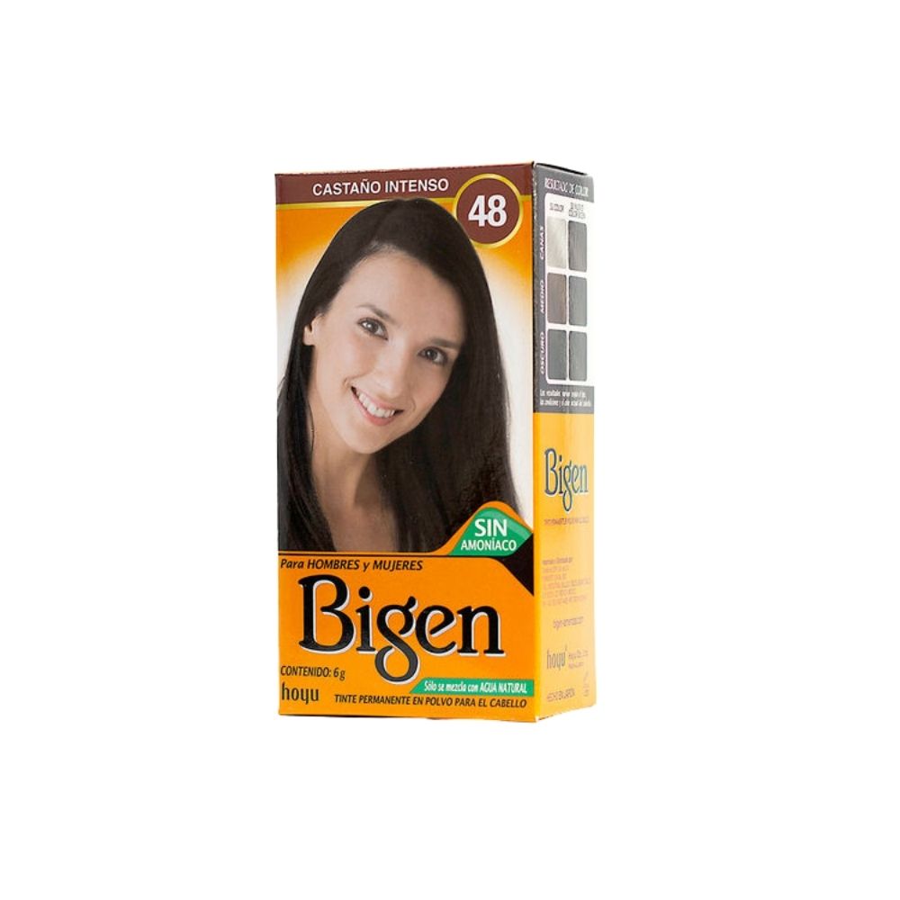 HENNA BIGEN 6 GR